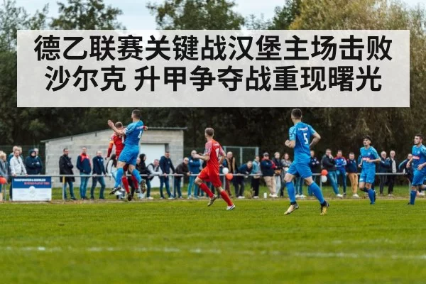 德乙联赛关键战汉堡主场击败沙尔克 升甲争夺战重现曙光