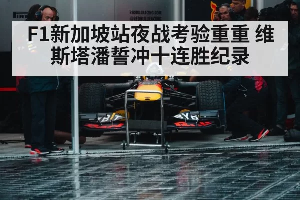 Max Verstappen Red Bull